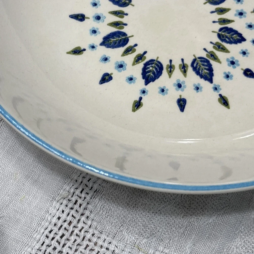 VTG  MCM Kitchen Serving Bowl & 12